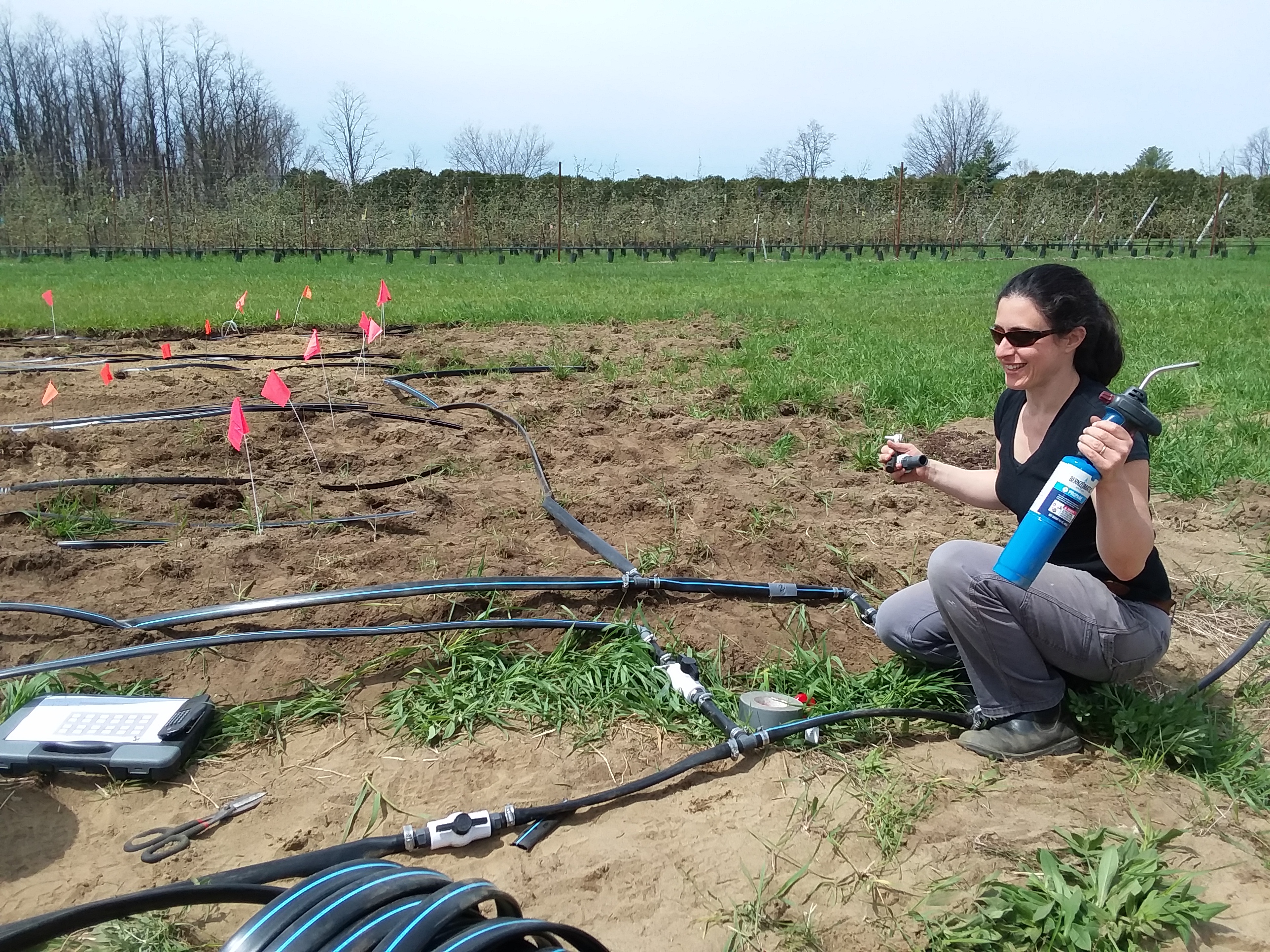 Dr. Schattman setting up irrigation research plots in Vermont
