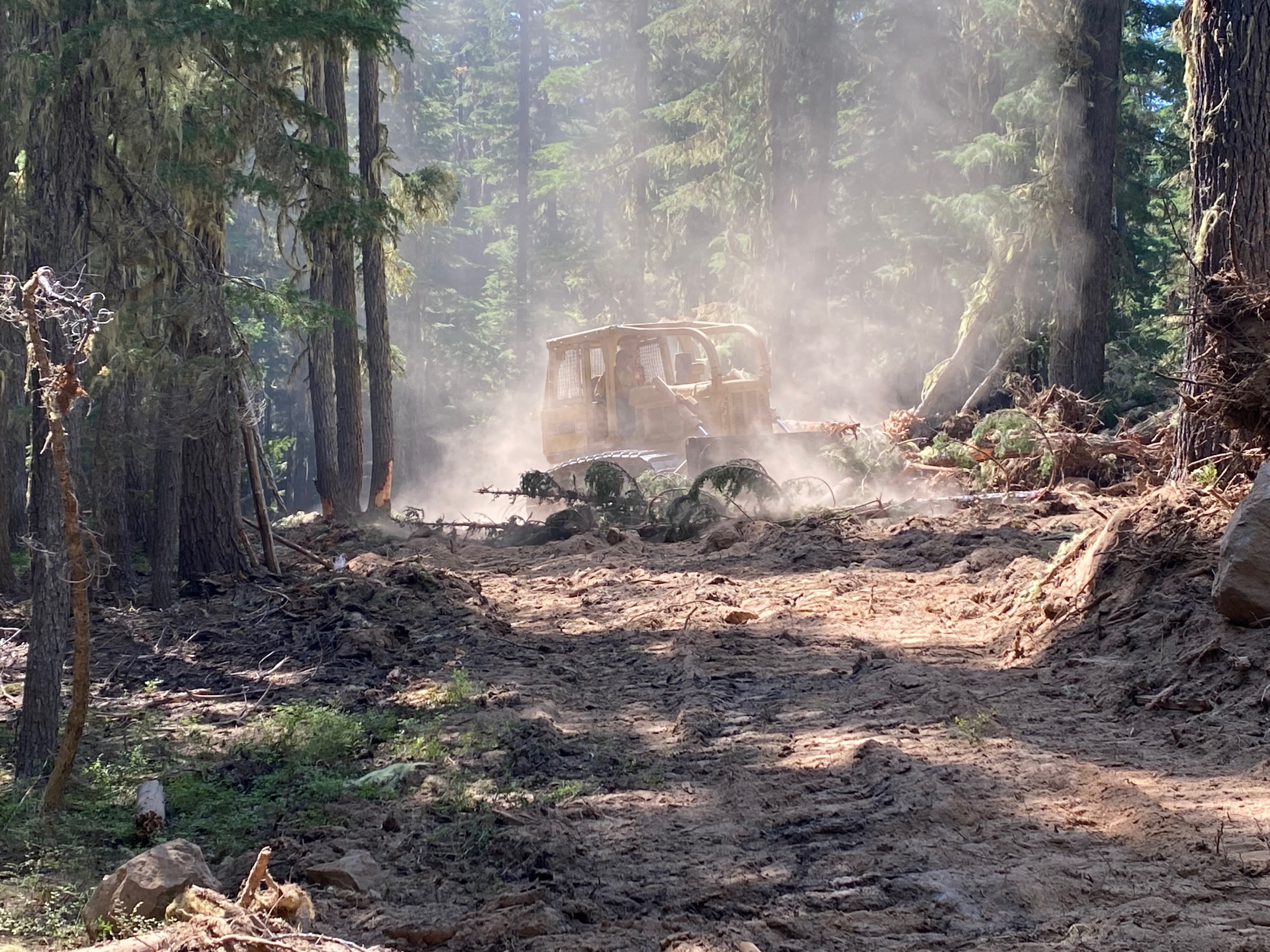 Bulldozer in the forest creating a break in the vegetation during a fire.