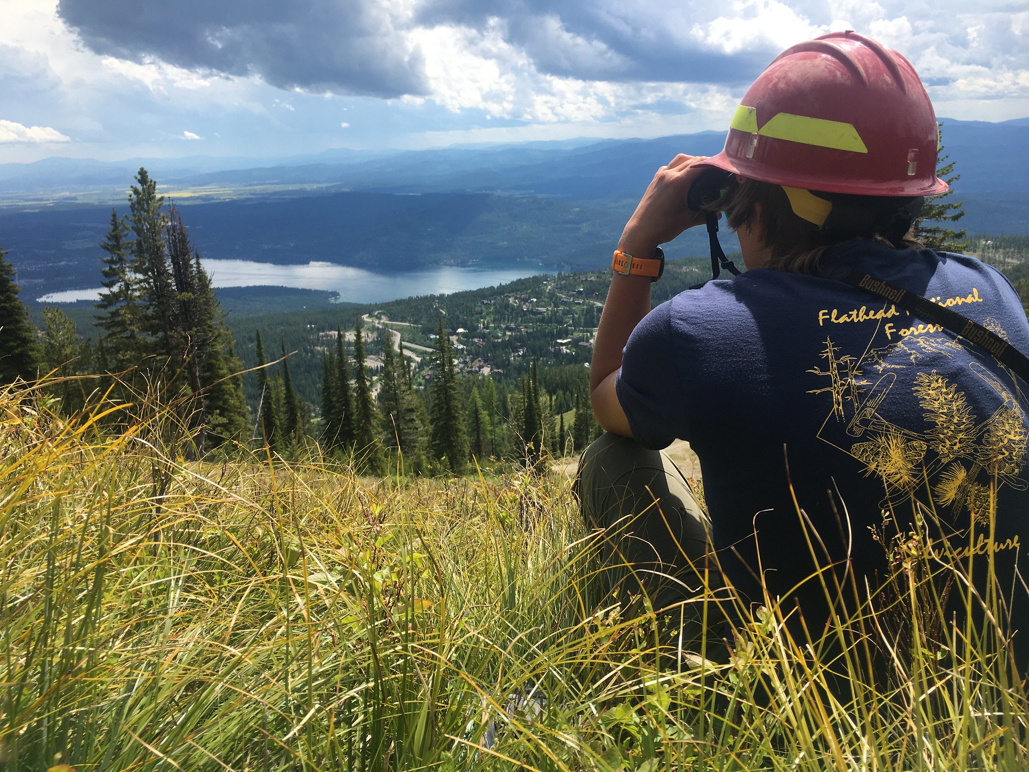 A member of the silviculture crew scans the top of the trees with binoculars to see how many cones have been produced this year in performing whitebark pine cone assessment on the top of Big Mountain, Flathead National Forest, Montana. USDA Forest Service photo by Erika Williams.