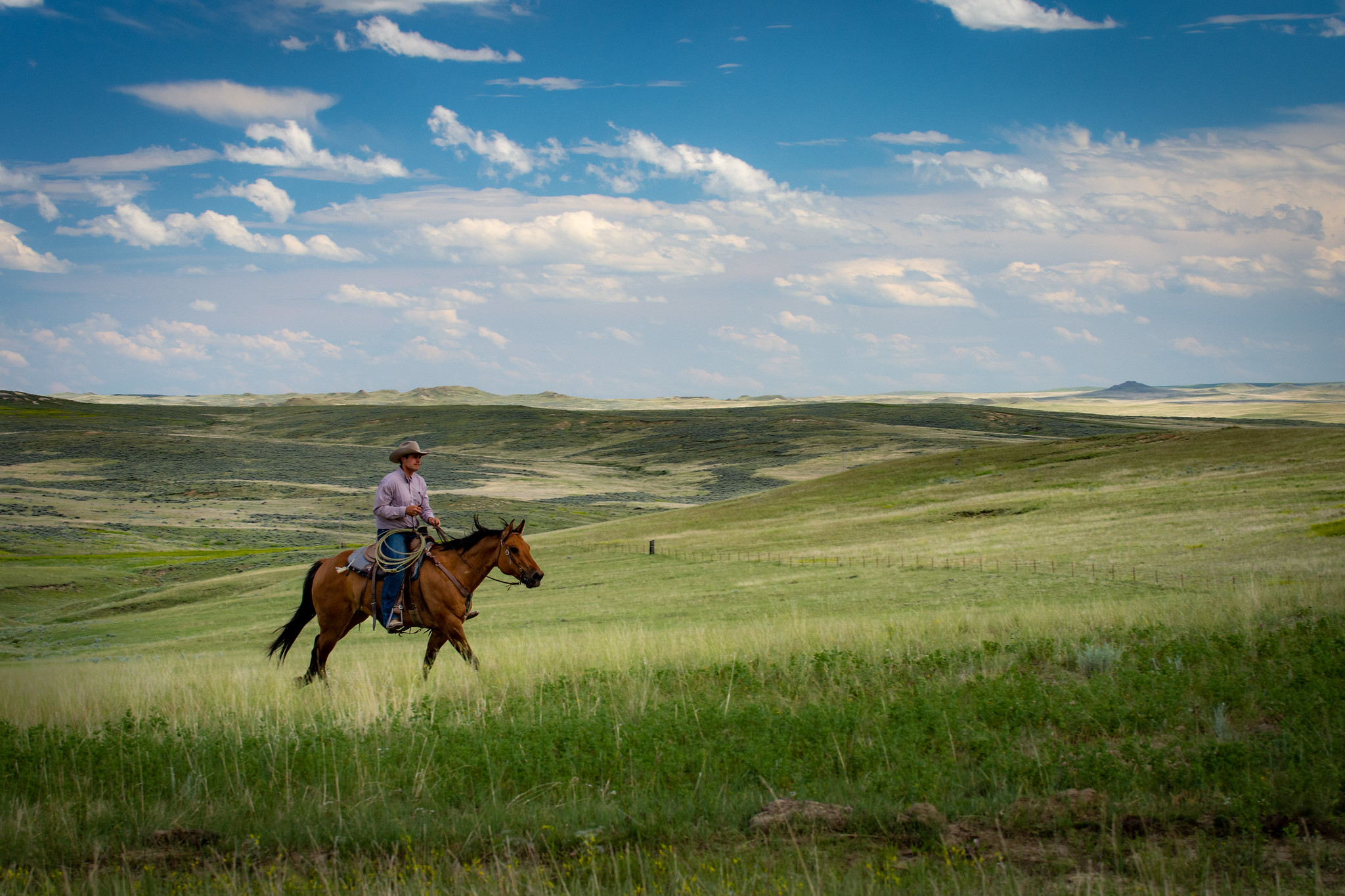 Riding on horseback, Travis Brown, owner of LO Cattle Company, enjoys the healthy grazing pastures and rangeland. Photo taken June 19, 2019 at the LO Cattle Company located in Sand Springs, MT in Garfield County.