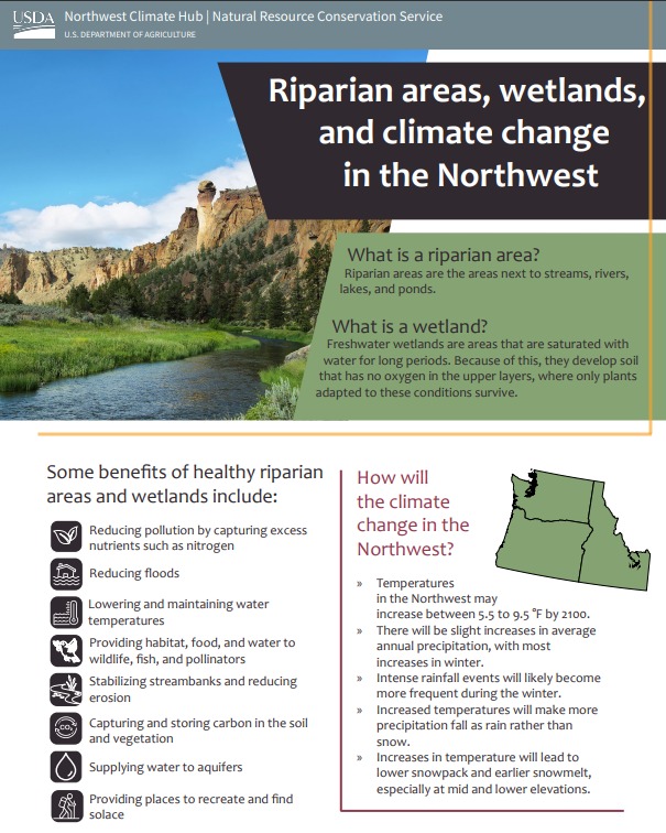 Screenshot of the first page of the factsheet