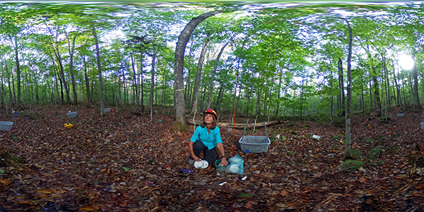 hubbardbrook