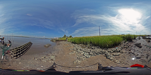 living shorelines