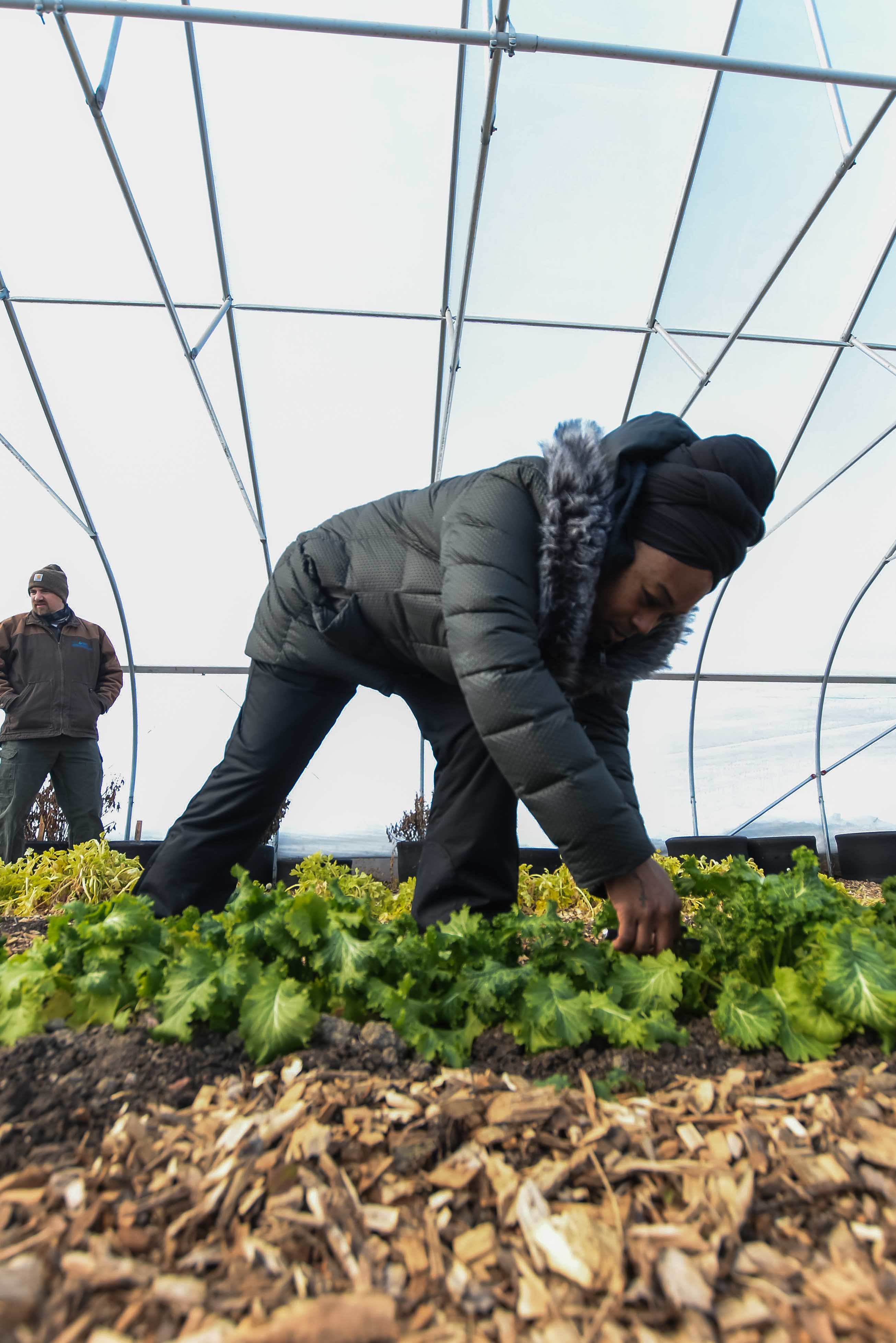 A woman in a jacket works on a garden bed inside of a greenhouse