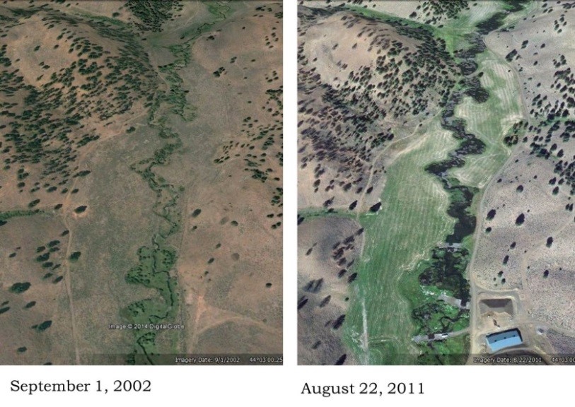 Before and after satellite images of a stream restoration project. 
