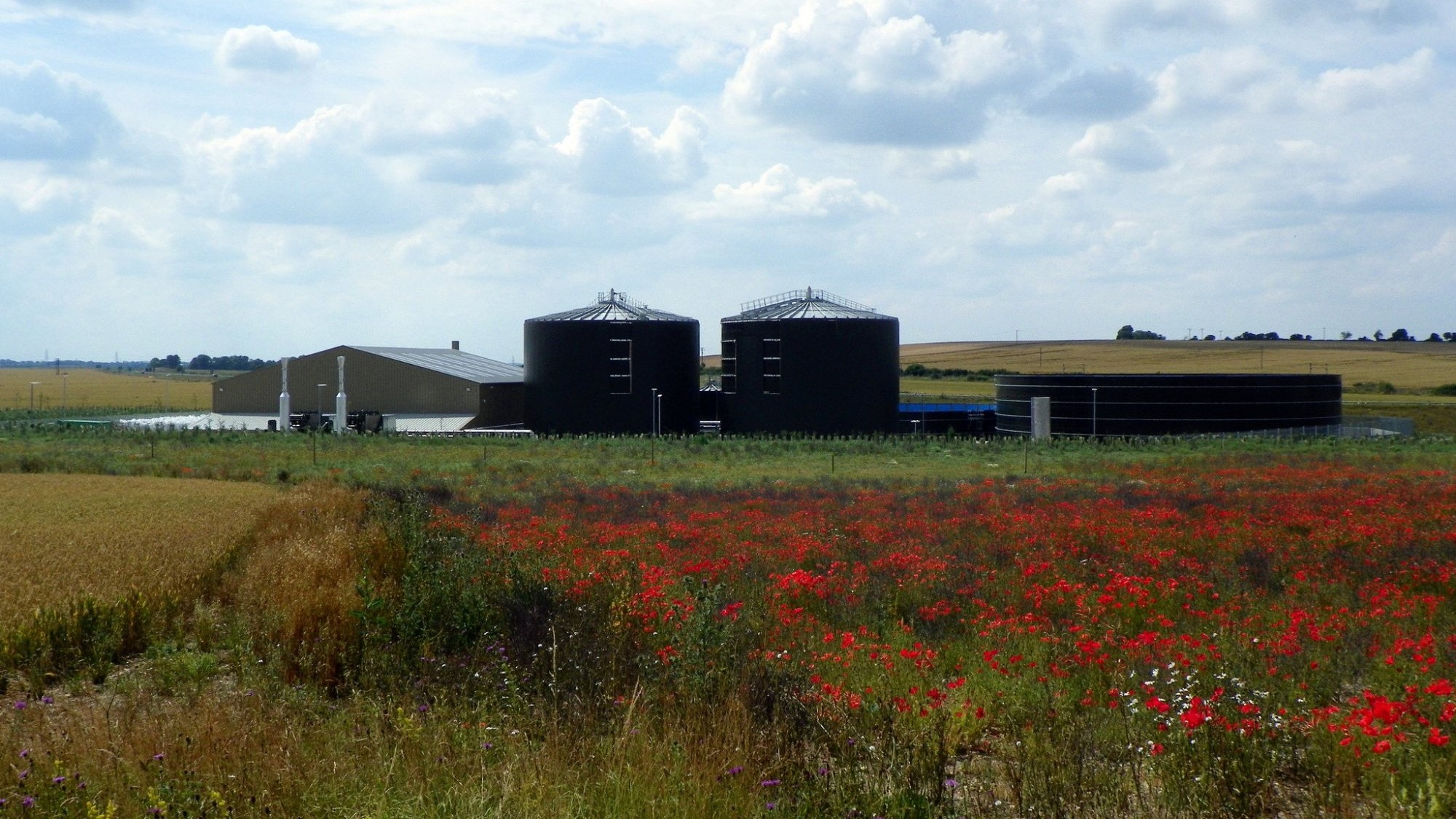 An anaerobic digester on a farm in Oregon.