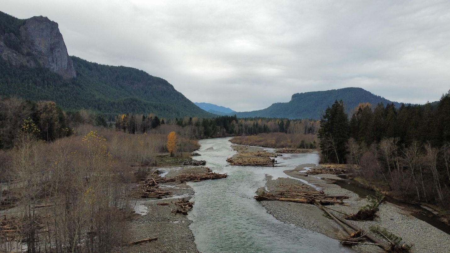 A river running through the Gifford Pinchot National Forest