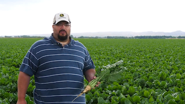 Farmer, Greg Schelemmer, holds a sugar beet in a no-till, furrowed irrigated field in south central Montana.