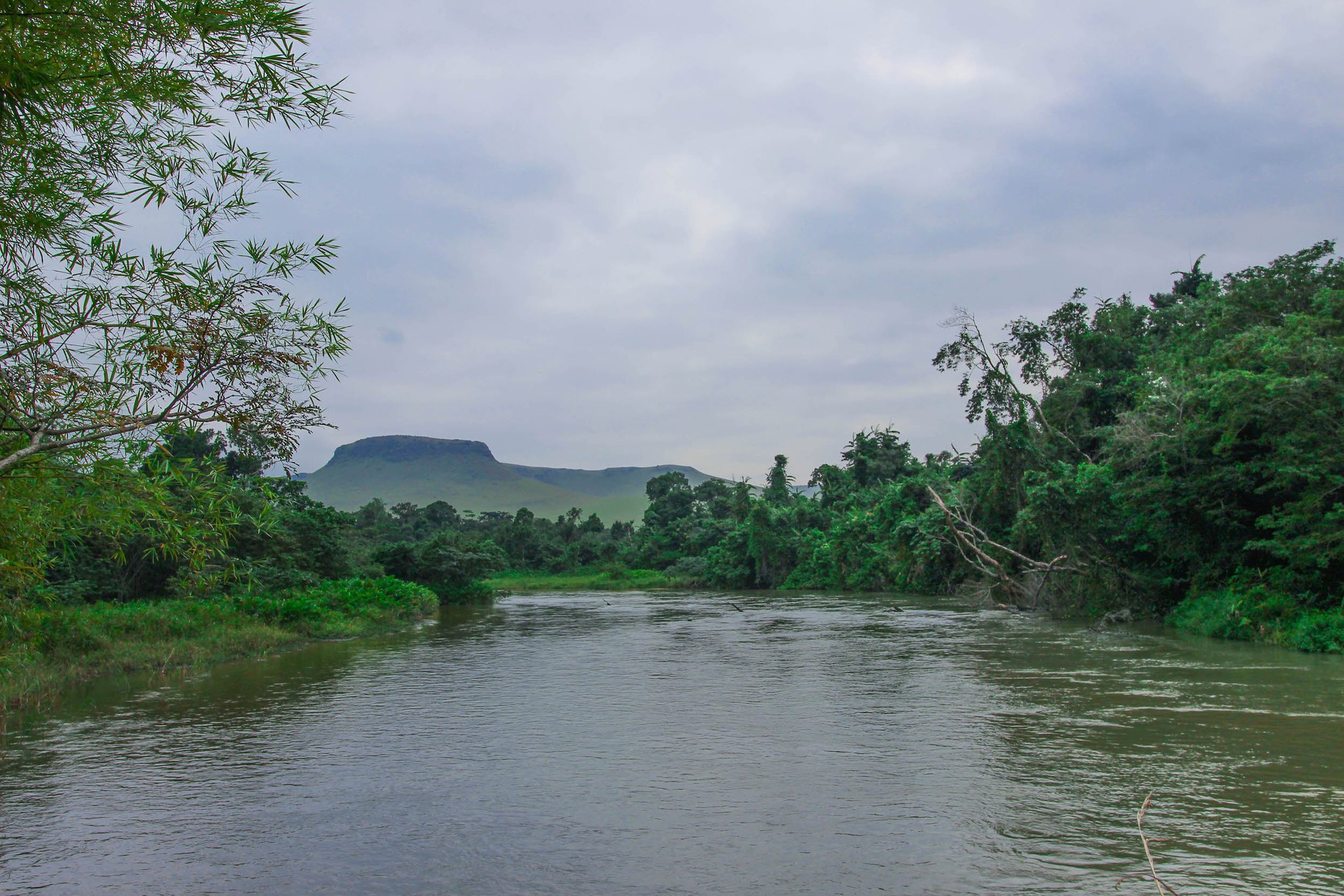 A green river winds through the jungle in the Congo.