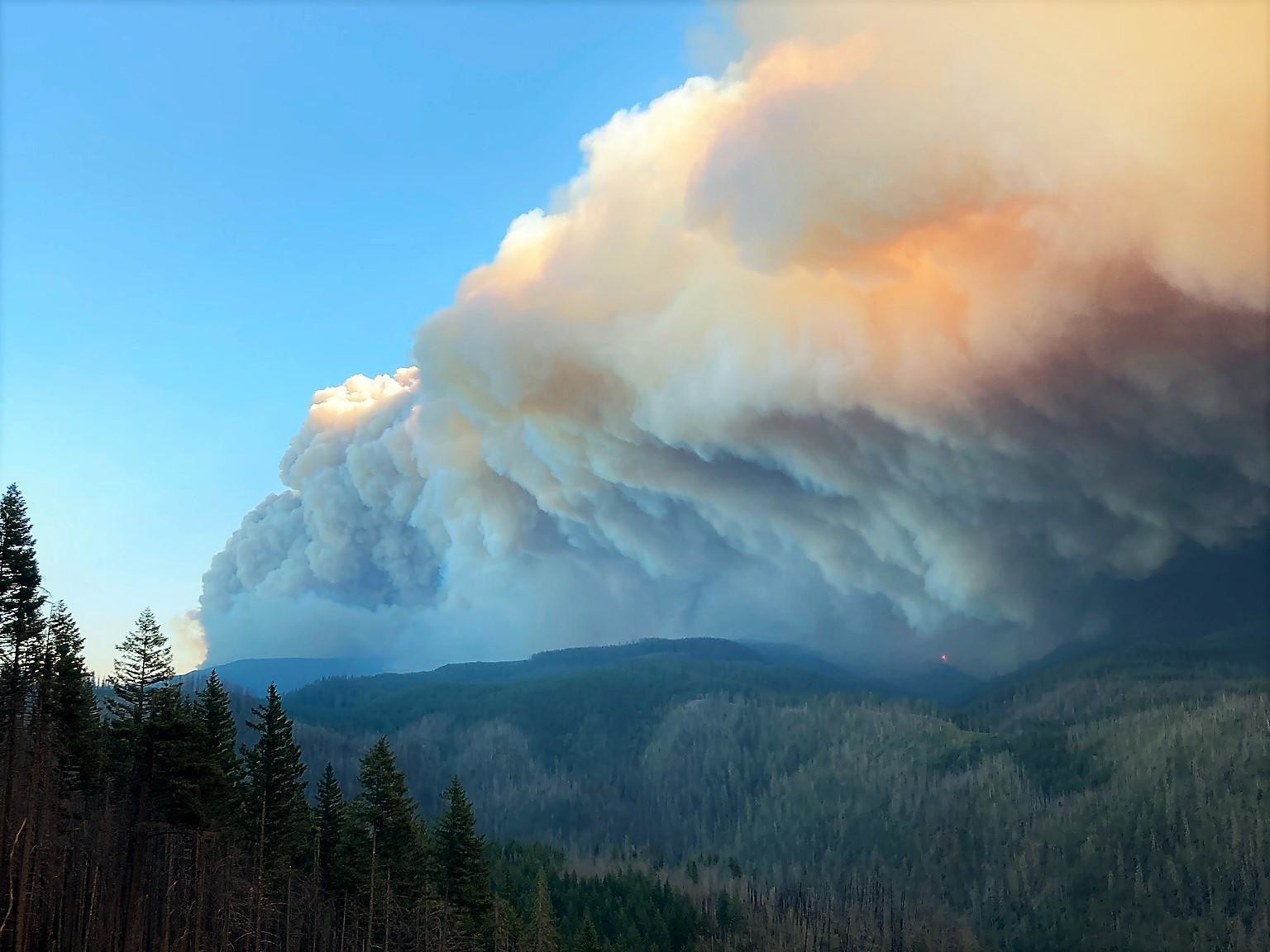 A large smoke column looms over Mt. Hood National Forest