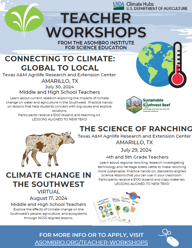 Texas Teacher Workshop Flyer