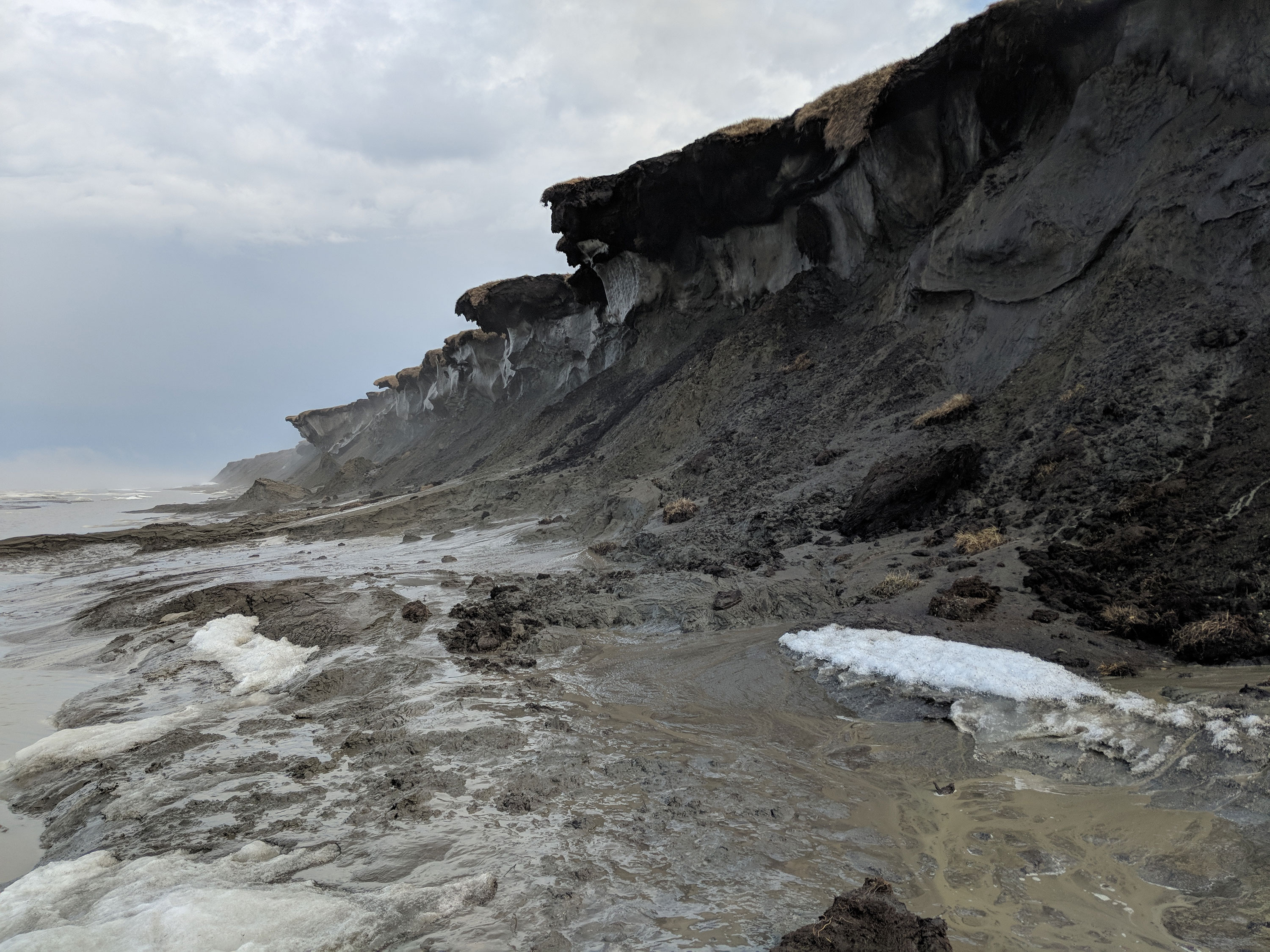 An eroding permafrost bluff in Alaska.