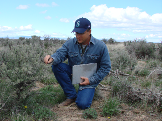 Dr. Chad Boyd kneels and inspects a sagebrush plant
