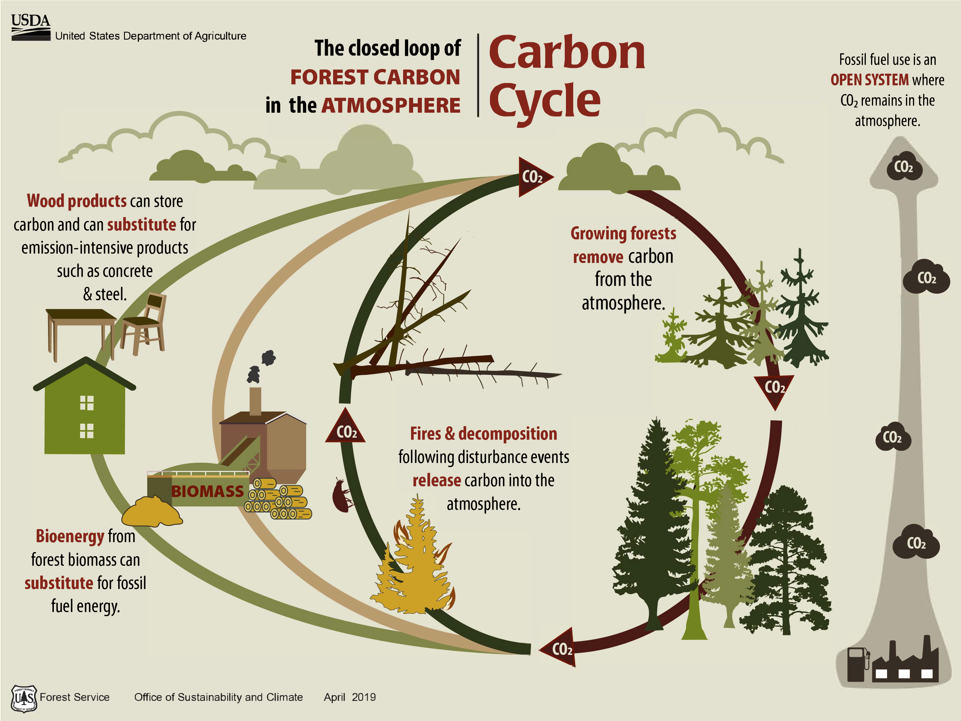 Carbon Cycle Figure