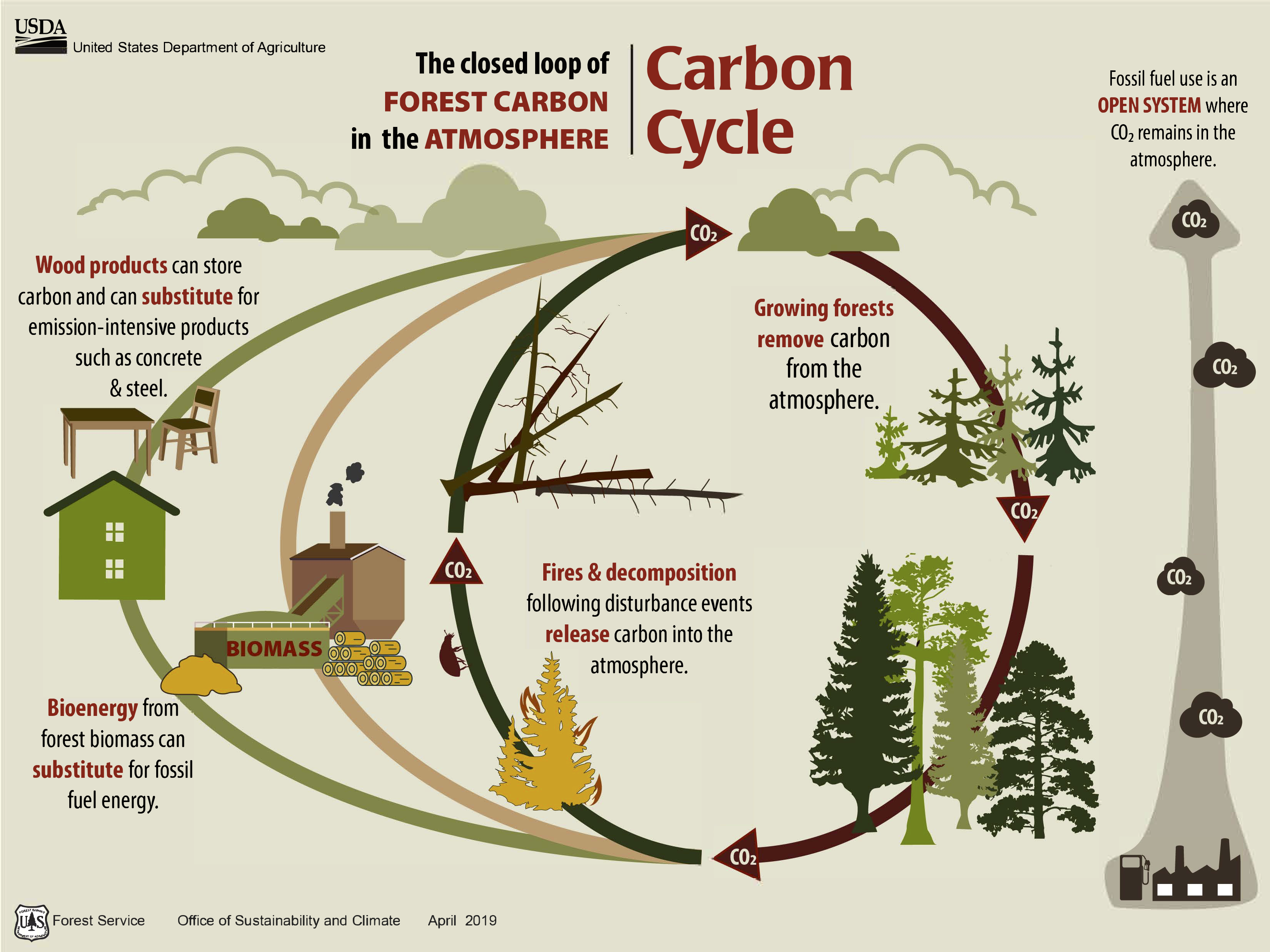 Carbon-Graphics-Carbon%20Cycle.png