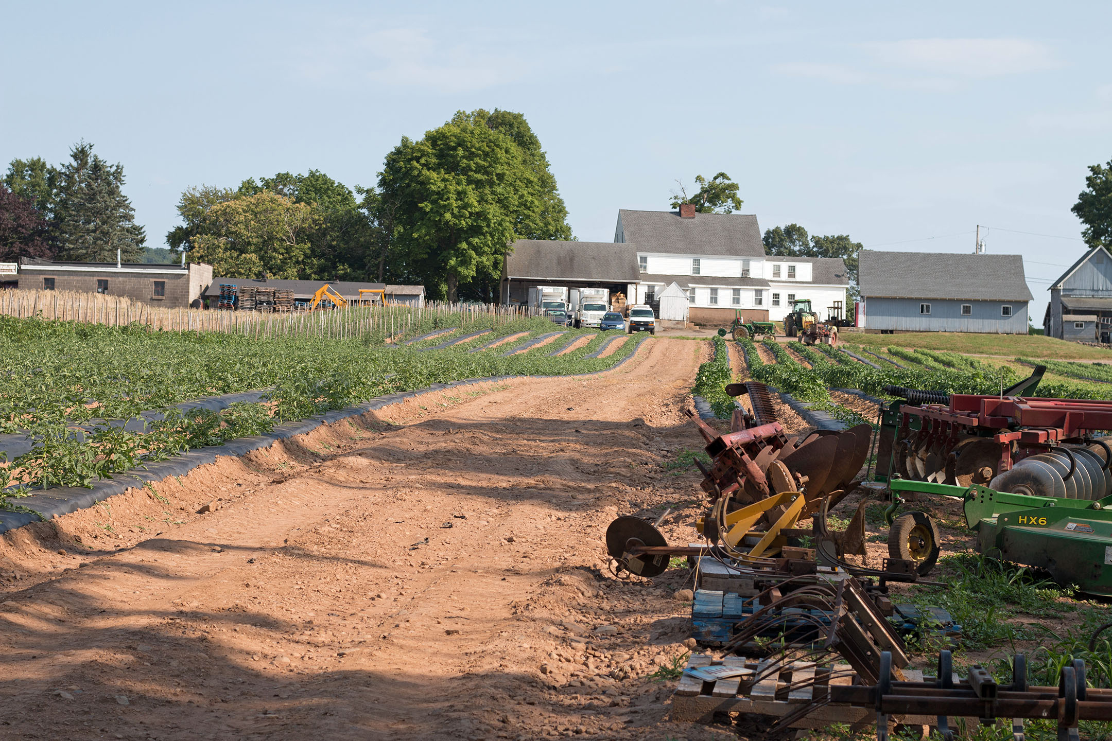 View from behind the farm house on Cecarelli Farms on July 13th, 2018.