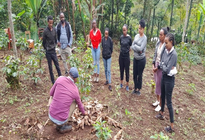 Ethiopia food for progress project