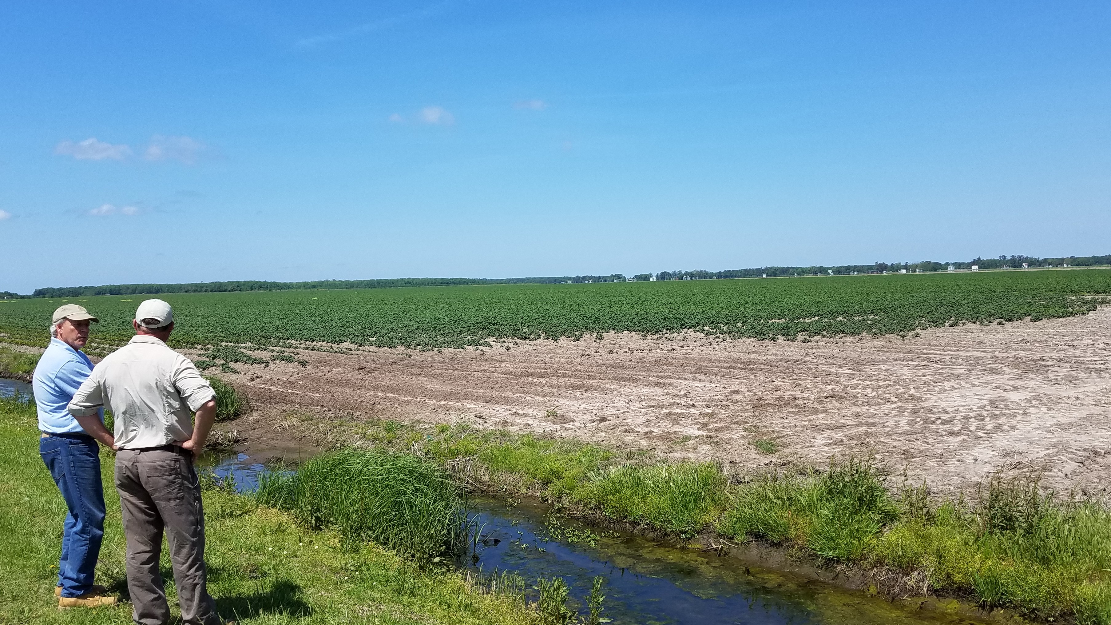 Chris Miller (left) NRCS Project Liaison to the NE & SE Hubs, and Steve McNulty (right), SE Hub Director, survey farmland in eastern North Carolina that is suspected to have lost productivity due to saltwater intrusion. Photo by Michael Gavazzi, USDA