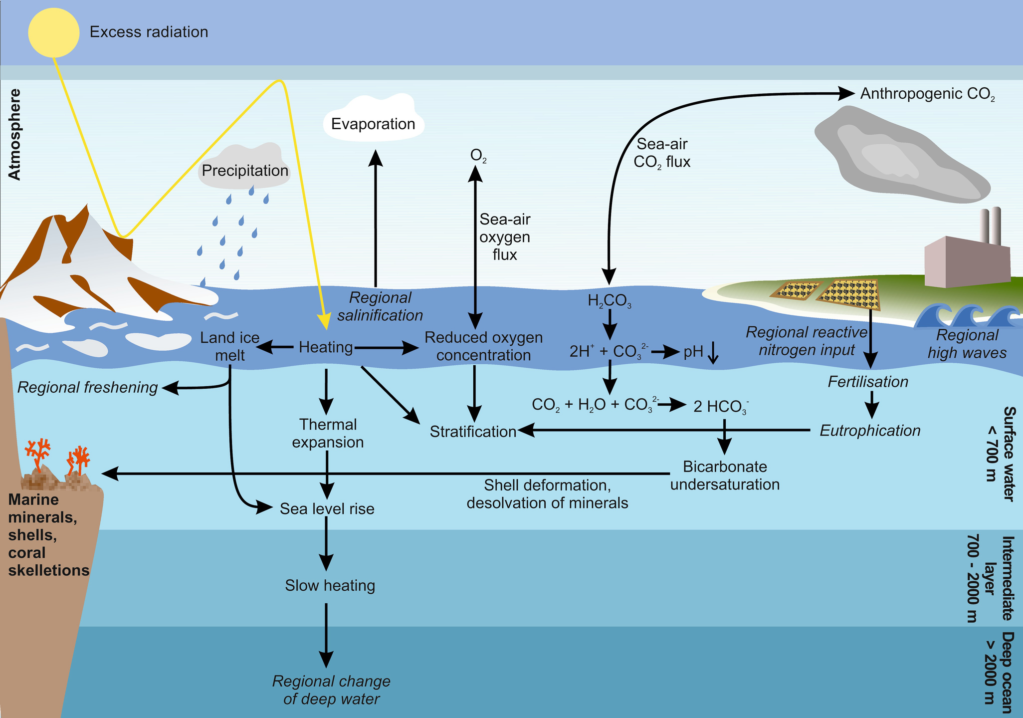 An overview of climate change's effects on the ocean, including the carbon cycle, ocean stratification, sea level rise, and heat transfer.