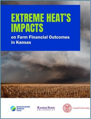 Extreme heat's impacts on farm financial outcomes in Kansas
