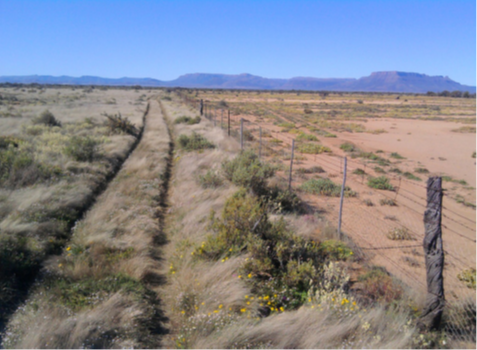 Fenceline