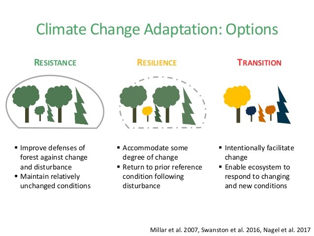 Figure 2: Climate Change Adaptation Options