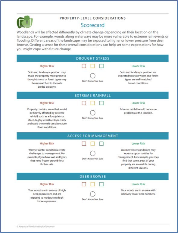 forest scorecards example