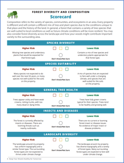 forest scorecards example