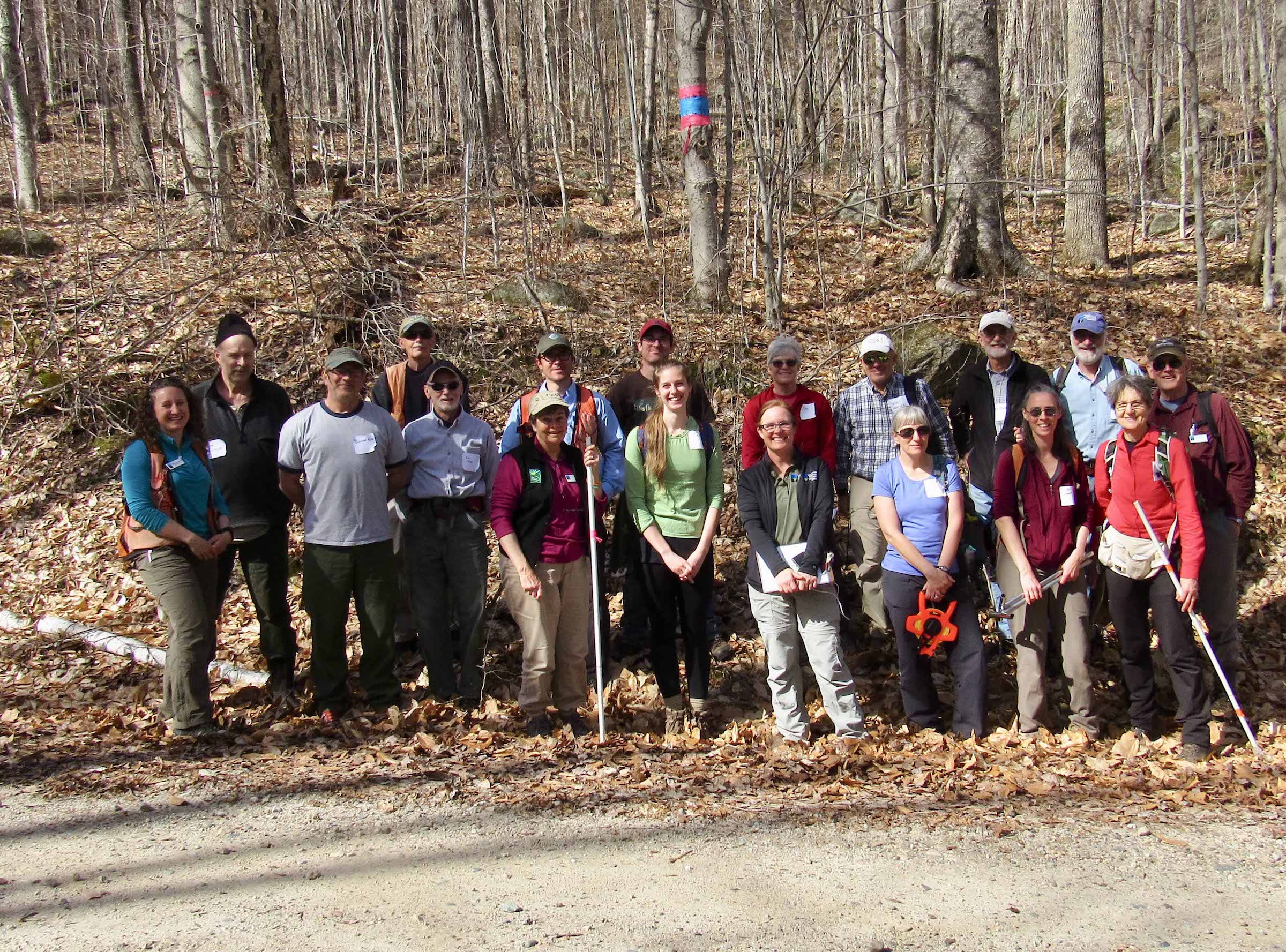 a sugar maple regeneration citizen science group picture