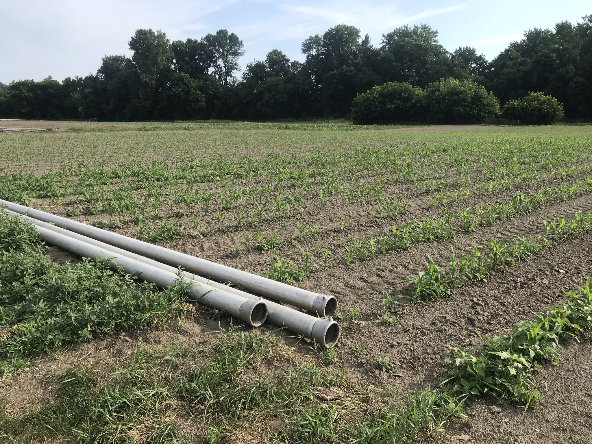 irrigation pipes at the Intervale Community Farm