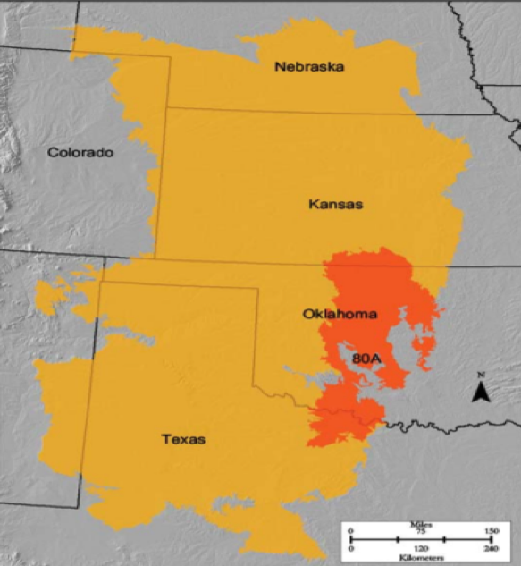 Major land resource 80A occupies a large portion of Oklahoma and parts of Kansas and Texas
