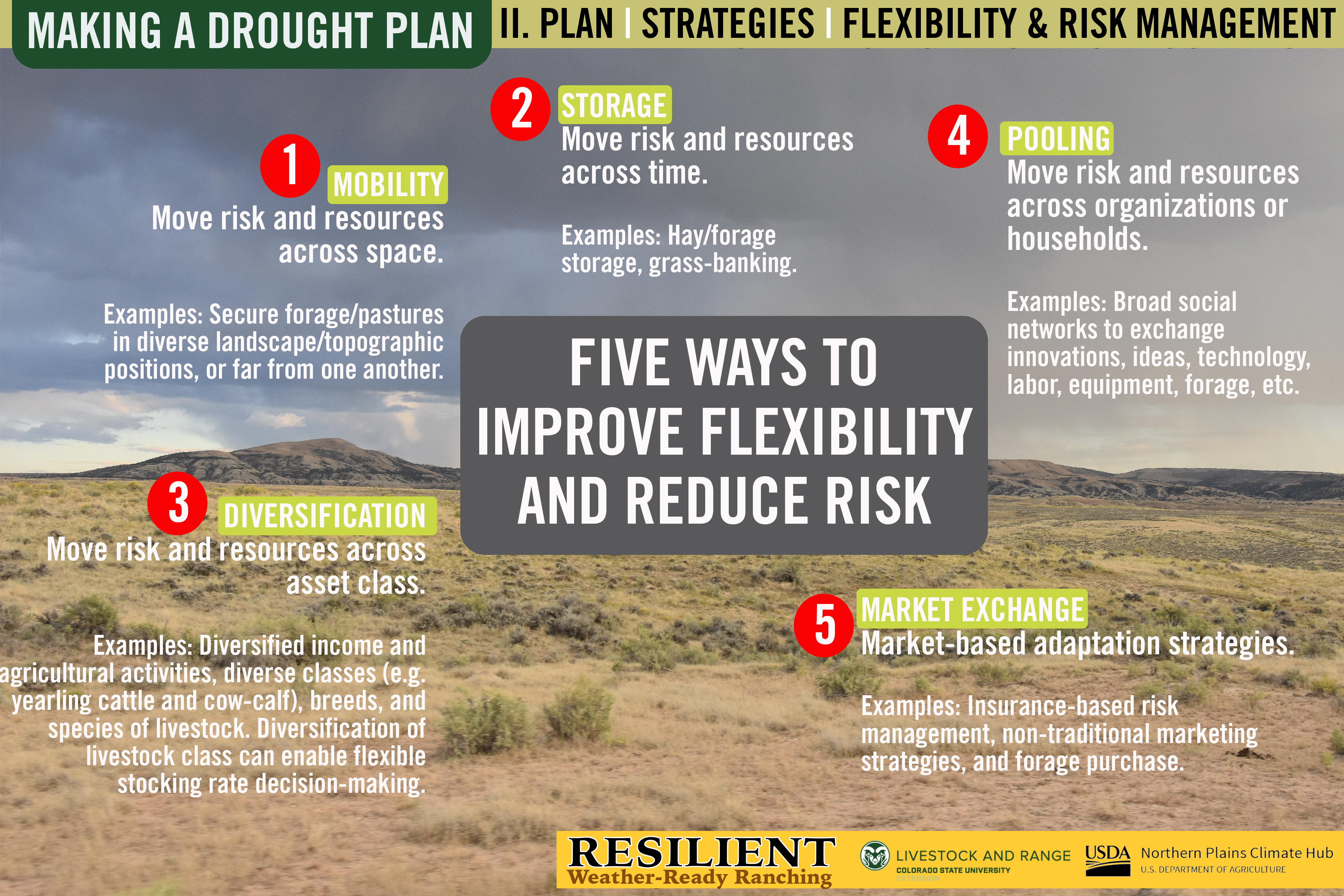 Making a Drought Plan: Five Ways to Improve Flexiblity & Reduce Risk