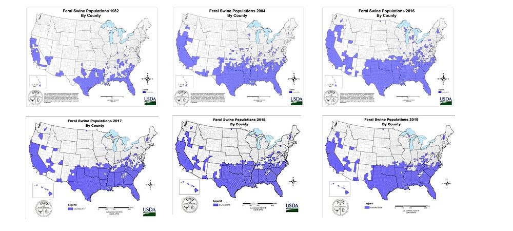 Feral Swine Populations By County