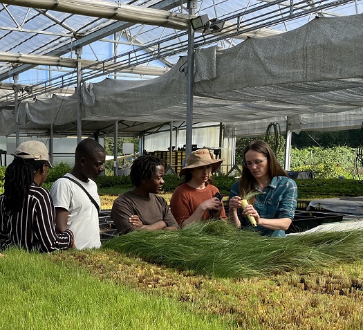 evaluating native plant propagation methods