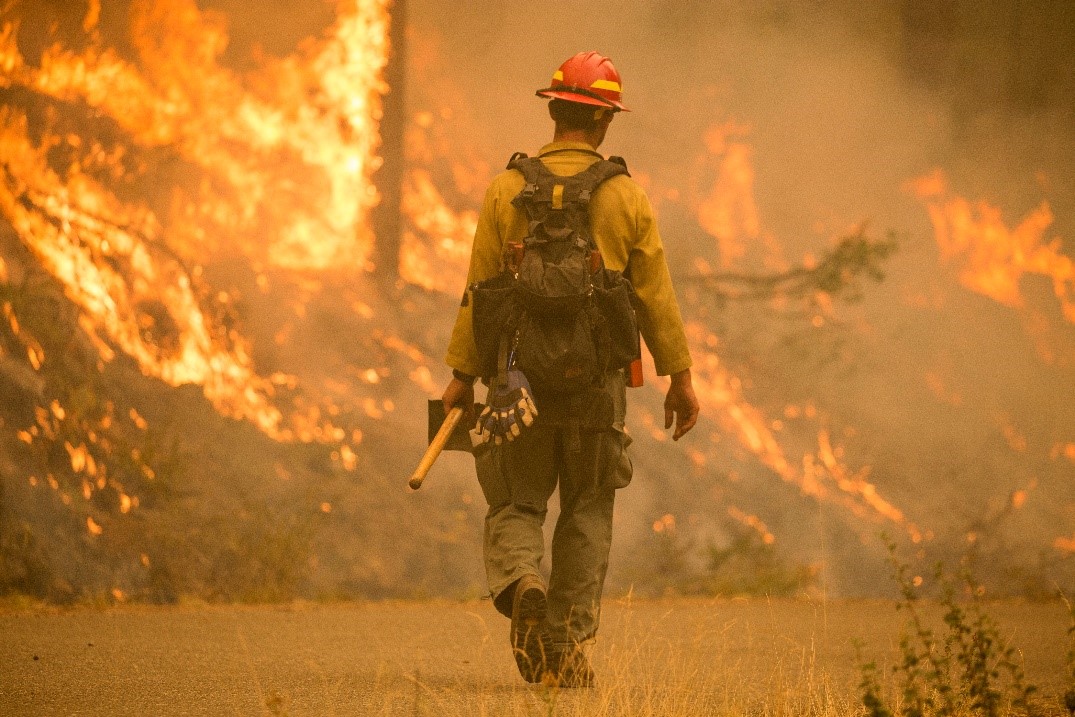 A firefighter walks toward a hillside on fire.