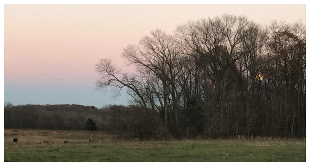 Small Family Farm pasture