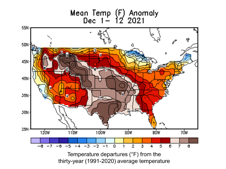 Mean Temperature Anomaly Dec 1-12, 2021