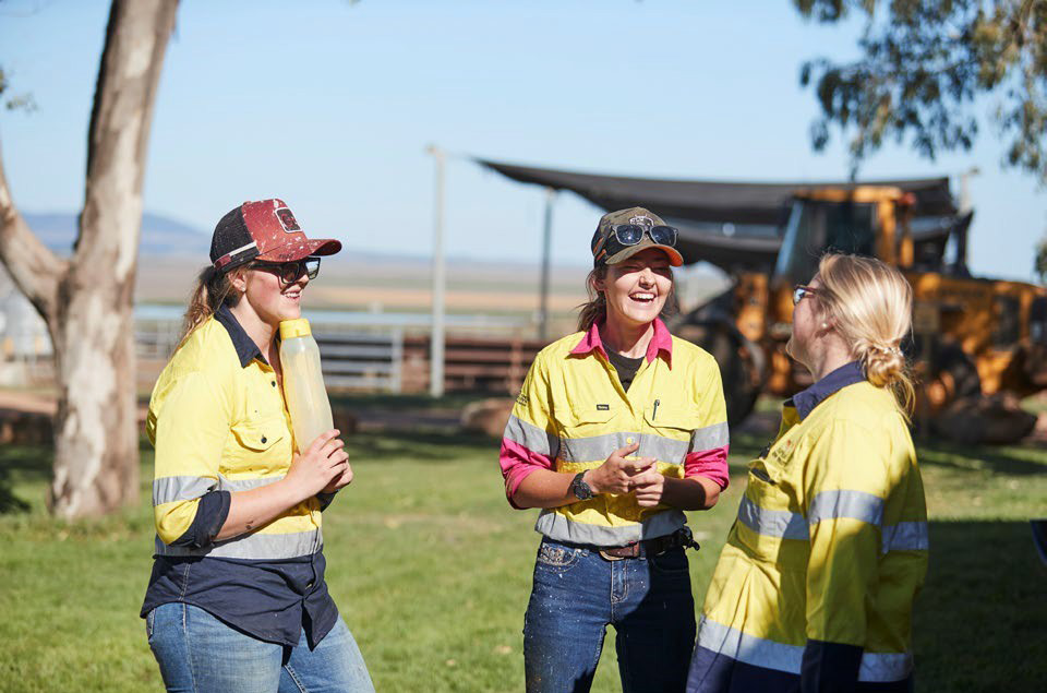 Australia beef project