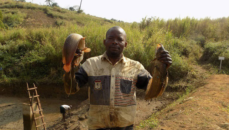Congo fish farming project