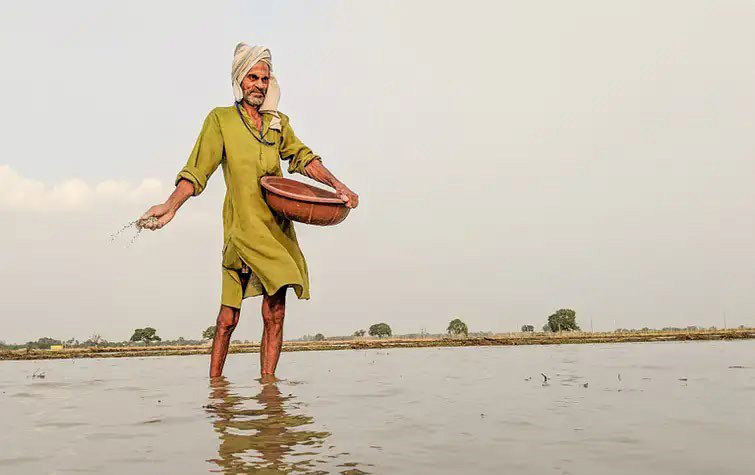 Indian farmer