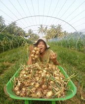 Vegetable farmer in Philippines