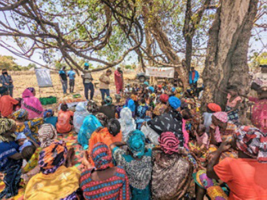 Senegal