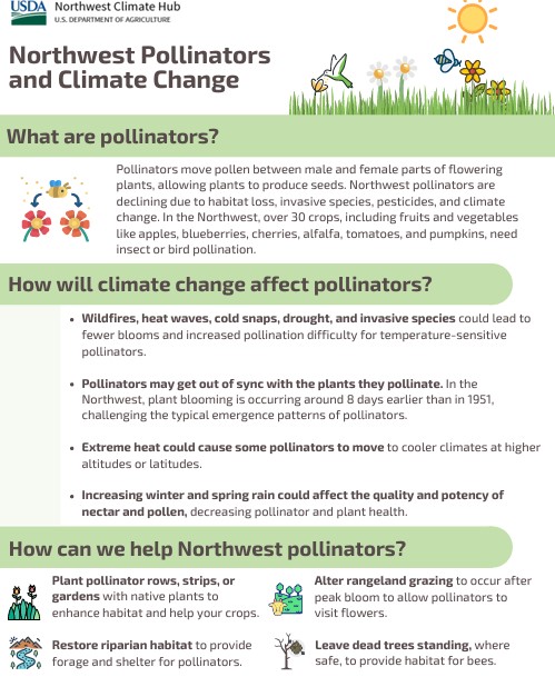 Screenshot of NW Pollinators Fact Sheet