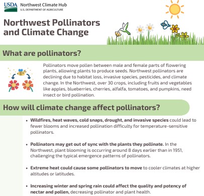 A screenshot of the pollinators factsheet