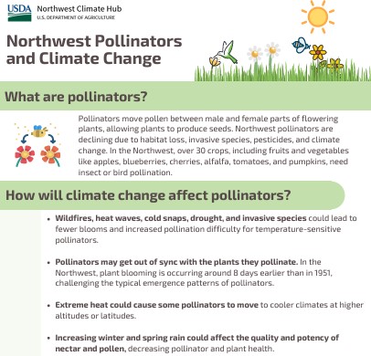 A screenshot of the pollinators factsheet