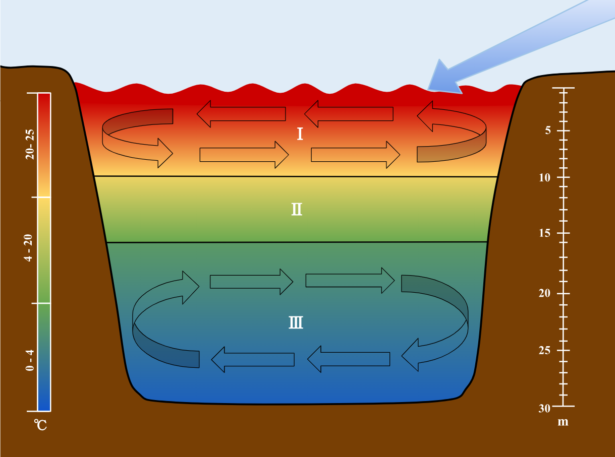 Stratification is the separation of ocean water into horizontal bands based on density, with warmer, less salty water remaining on top.