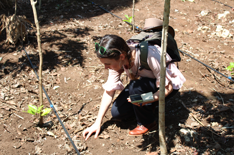 examining soil for organic matter