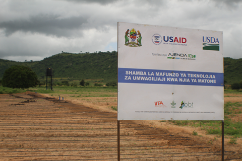 B. Bihawana site in Dodoma