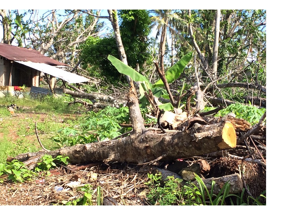 Typhoon Maysak Relief and Reconstruction (FSM) by USAID