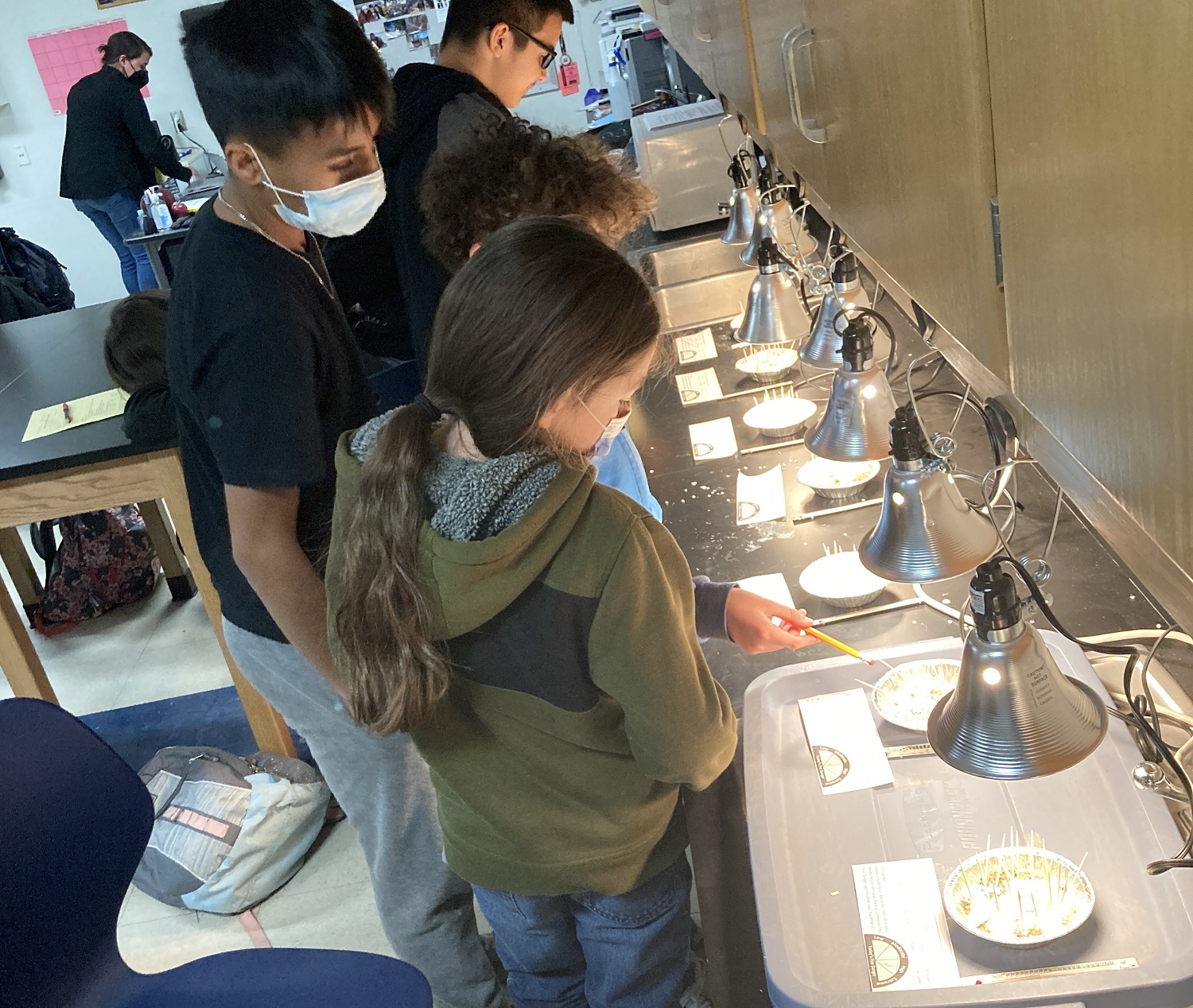 Middle school students try out ecosystem models
